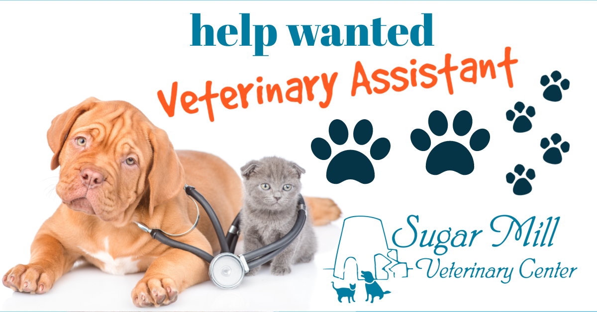 Sugar Mill Veterinary Center is hiring! 🐾😻 - Sugar Mill Veterinary Center
