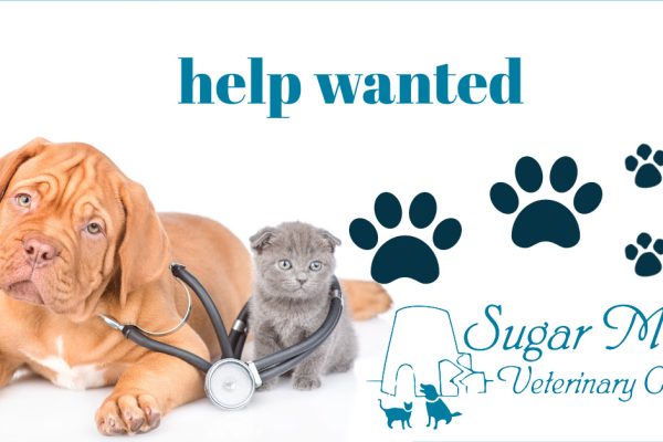 Help Wanted at Sugar Mill Veterinary Center